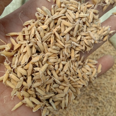 赤峰大麥批發(fā)電話地址在哪里-第1張圖片