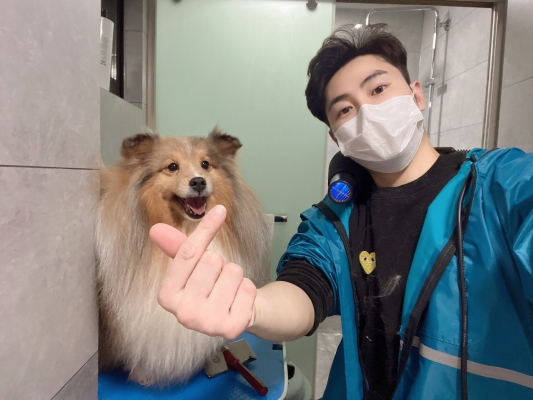 赤峰寵物醫(yī)生上門電話號(hào)碼是多少-第1張圖片