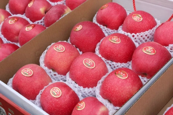 赤峰雨潤(rùn)市場(chǎng)批發(fā)水果電話號(hào)碼-第1張圖片