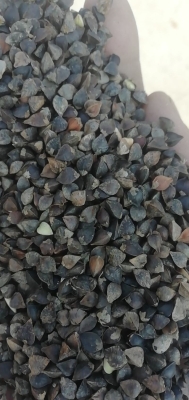 赤峰橋北蕎麥?zhǔn)召?gòu)電話號(hào)碼-第1張圖片