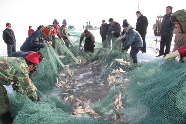 赤峰幸福滿滿物流電話查詢地址-第1張圖片
