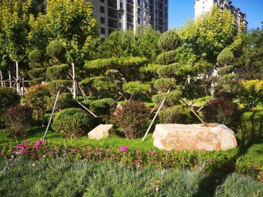 赤峰園林電話號碼是多少號-第1張圖片