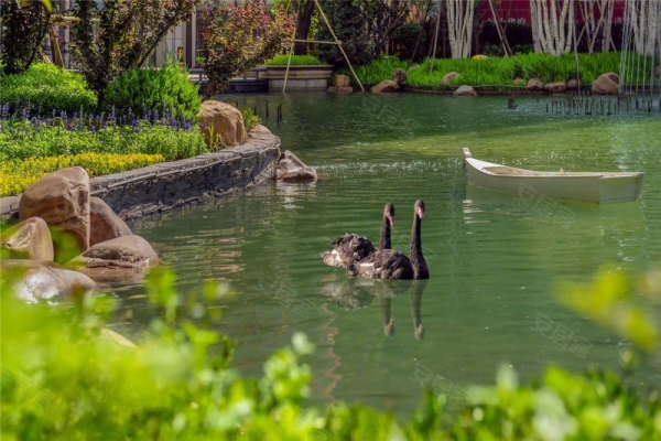 赤峰恒大郡庭物業(yè)電話號碼-第1張圖片