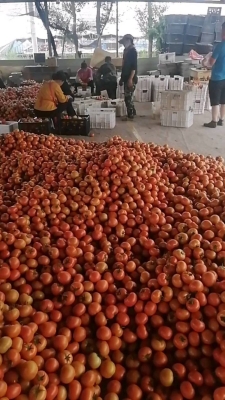 赤峰達利面包店電話號碼-第1張圖片