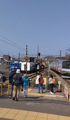 赤峰去東京航班查詢電話號碼-第1張圖片