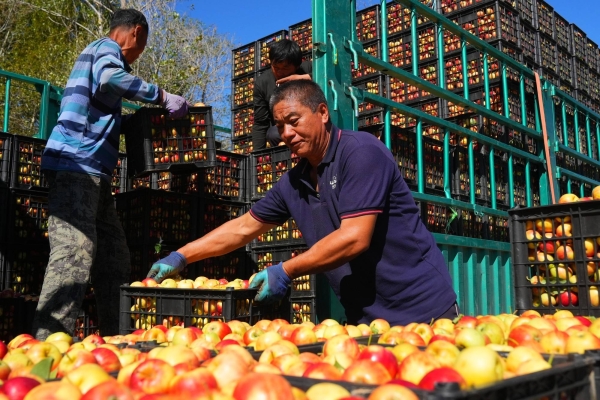 赤峰市松山區(qū)開鎖電話-第1張圖片