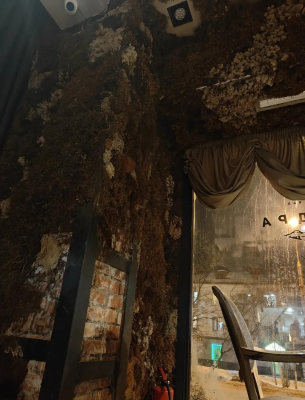 赤峰民宿摩爾公館電話號碼-第1張圖片