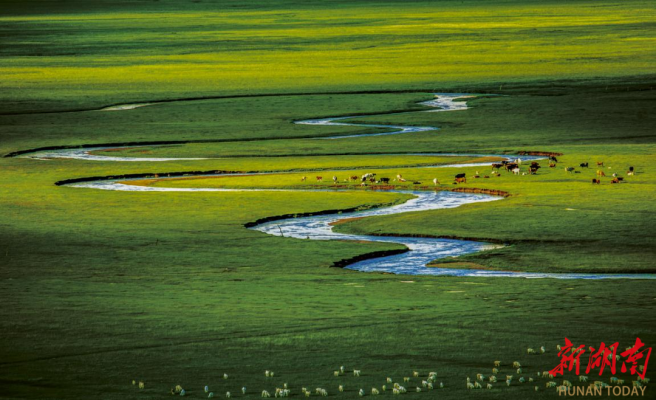 赤峰市草原-第1張圖片
