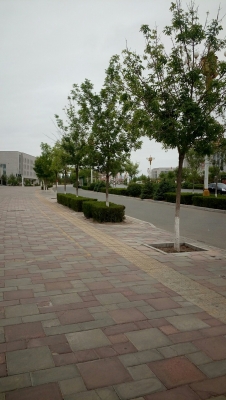 赤峰林東地稅局電話號(hào)碼-第1張圖片