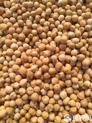 赤峰鷹嘴豆批發(fā)網(wǎng)站電話號(hào)碼-第1張圖片