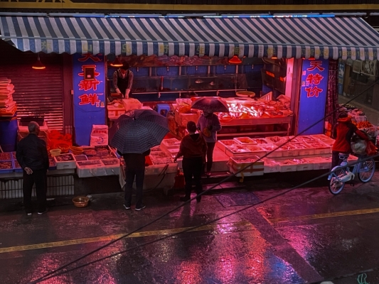 赤峰市賣魚店電話號碼-第1張圖片