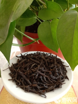 赤峰松香批發(fā)電話是多少號-第1張圖片