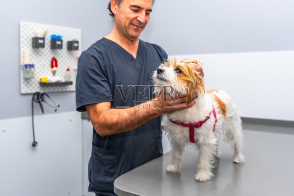 赤峰獸醫(yī)診所電話多少啊-第1張圖片