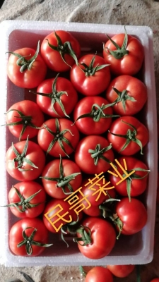 赤峰水果賣貨市場(chǎng)電話多少號(hào)-第1張圖片