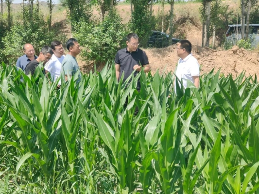 赤峰豐加農(nóng)業(yè)銷售電話地址查詢-第1張圖片