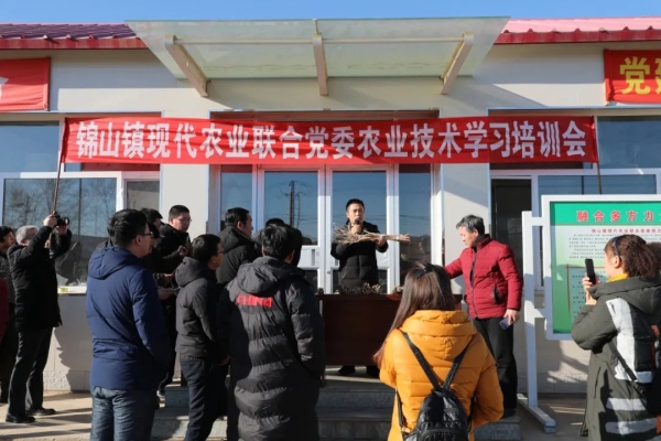 赤峰鋁卷源頭廠家地址電話號(hào)碼-第1張圖片