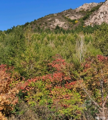 赤峰紅廟子打獵電話多少號-第1張圖片