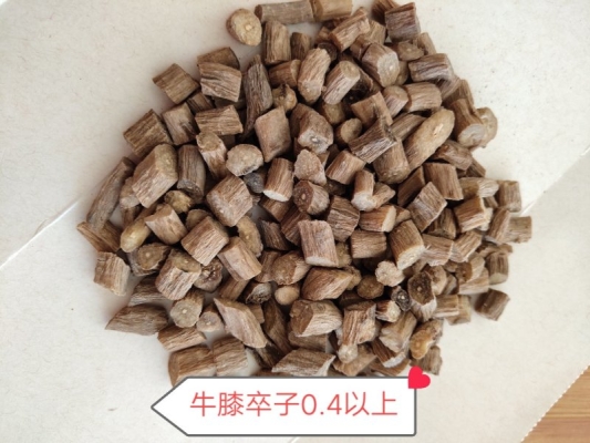 赤峰賣牛膝種子電話號碼是多少-第1張圖片