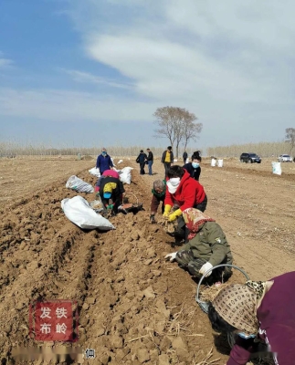 赤峰心理合作社電話號碼-第1張圖片