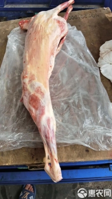 赤峰羊脊骨直播間電話號碼-第1張圖片