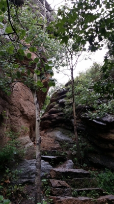 赤峰到承德雙橋客車電話號碼-第1張圖片