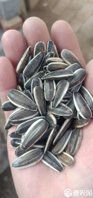 赤峰葵花籽批發(fā)電話號(hào)碼-第1張圖片