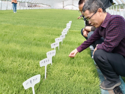 赤峰正方形化肥銷售電話號(hào)碼-第1張圖片