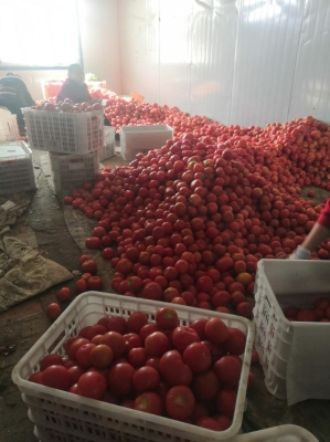 赤峰硬貨研究所地址電話號(hào)碼-第1張圖片