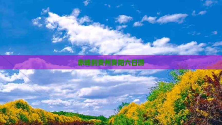 赤峰到貴陽貨運專線電話號碼-第1張圖片