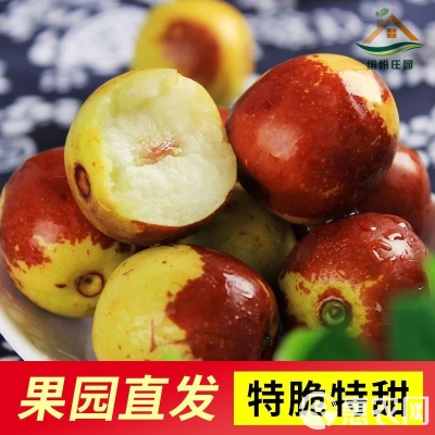 赤峰冬棗采摘園電話地址查詢-第1張圖片