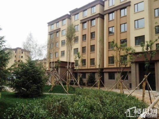 赤峰紅山郡小學咨詢電話號碼-第1張圖片