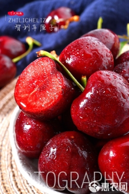 赤峰車?yán)遄訄F(tuán)購電話號碼-第1張圖片