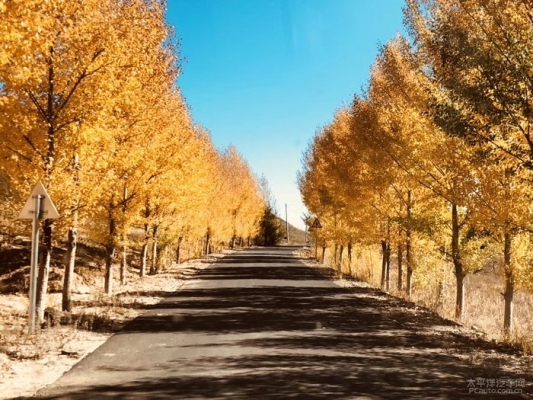李家營(yíng)子到赤峰客車電話號(hào)碼-第1張圖片