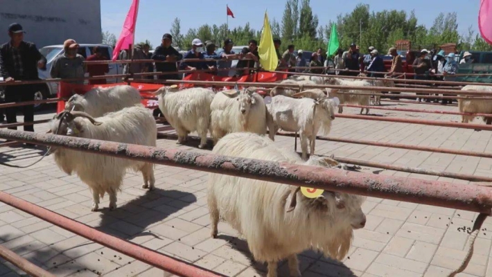 赤峰東黎俊景售房電話號(hào)碼-第1張圖片