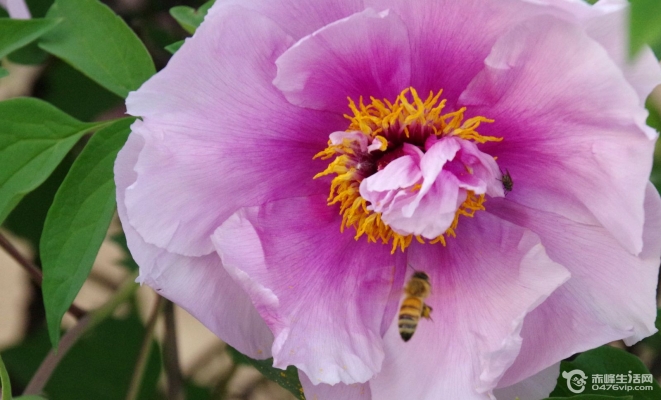 赤峰伊金攝影店電話地址查詢-第1張圖片