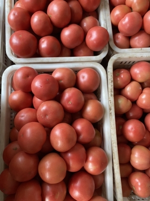 赤峰菜油批發(fā)電話地址在哪里-第1張圖片