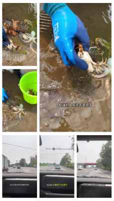 赤峰吃螃蟹的地方-第1張圖片