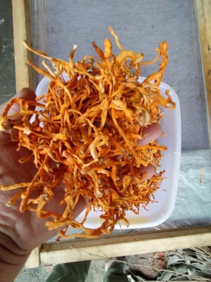 赤峰無包裝鮮花批發(fā)電話號碼-第1張圖片