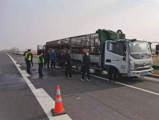 赤峰批發(fā)豬凍貨市場電話號碼-第1張圖片