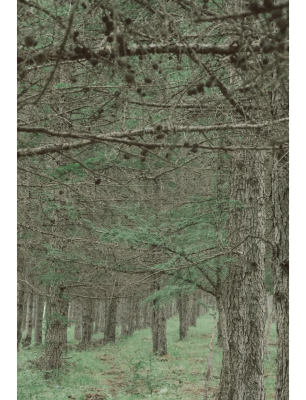 內(nèi)蒙赤峰機(jī)車(chē)隊(duì)電話(huà)號(hào)碼查詢(xún)-第1張圖片