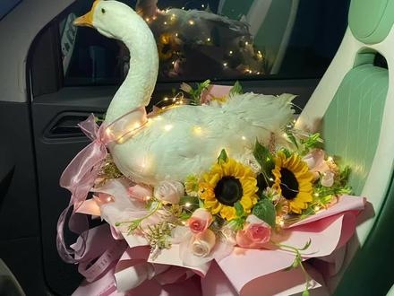 赤峰大鵝花束店地址電話號碼-第1張圖片