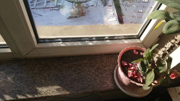 赤峰高效臭味劑公司電話號(hào)碼-第1張圖片