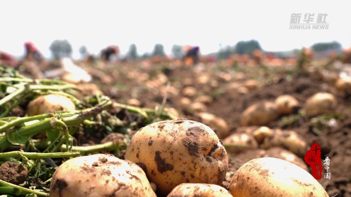 赤峰賣鐵板機器的電話號碼-第1張圖片