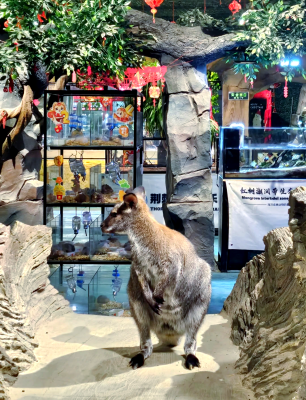 赤峰親子服裝店電話地址查詢-第1張圖片