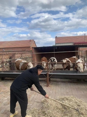 赤峰市獸醫(yī)局電話號(hào)碼-第1張圖片