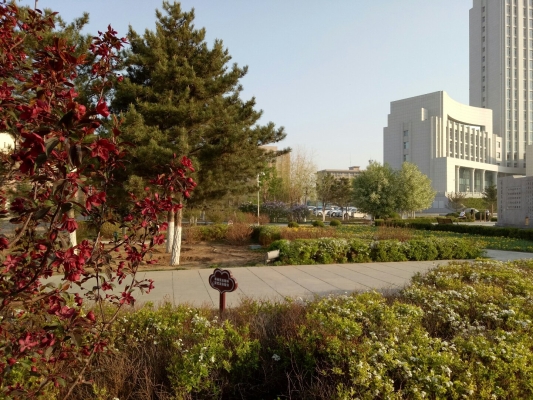 赤峰寧城大藥房電話號碼查詢-第1張圖片