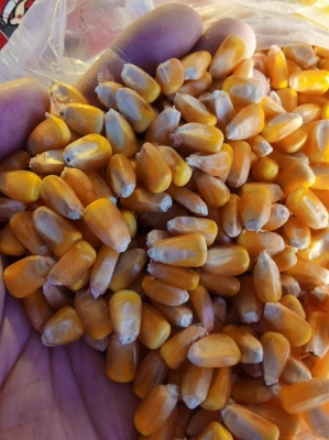 赤峰水果閃送員電話地址查詢-第1張圖片