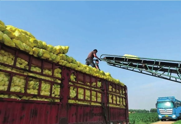 赤峰西橋煙花店電話地址查詢-第1張圖片