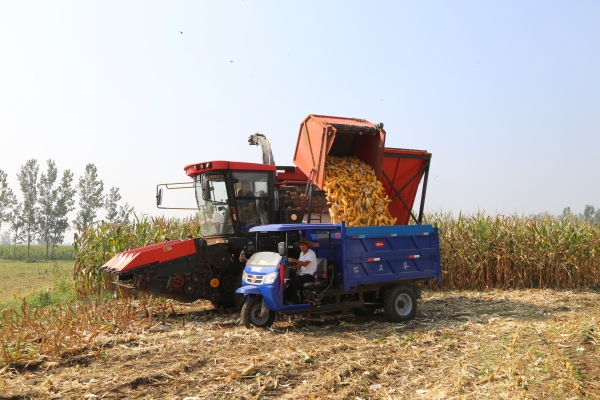 赤峰市玉米收割團(tuán)隊(duì)電話號(hào)碼-第1張圖片
