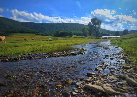 赤峰美林谷租車電話號碼查詢-第1張圖片